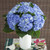 Shocking Blue Hydrangeas - Fresh Cut Flowers - 12 Stems - By Bloomingmore