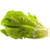 Romaine Lettuce, Each