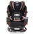 Evenflo All4one Dlx 4-in-1 Convertible Car Seat With Sensorsafe, Belmont Brown