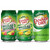 Canada Dry Ginger Ale Summer Variety Pack, 12 Fluid Ounce (36 Pack)