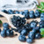 Food To Live, Organic Dried Blueberries, 2 Pounds, Non-gmo, Kosher