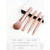 Trihiy Mini Makeup Brush Set With 4 Hair Blush Eye Shadow