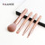 Trihiy Mini Makeup Brush Set With 4 Hair Blush Eye Shadow
