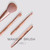 Trihiy Mini Makeup Brush Set With 4 Hair Blush Eye Shadow
