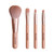 Trihiy Mini Makeup Brush Set With 4 Hair Blush Eye Shadow