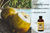 Jamaican Mango & Lime, Jamaican Black Castor Oil, Coconut Formula, 4 Oz