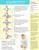 Anna & Eve Swaddle Strap Arms Only Baby Swaddle