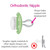 Mam Original Pacifier, 16+ Months, Unisex, 2 Pack