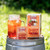 Southern Breeze Sweet Tea Cold Brew Sweet Iced Tea Bundle 4 Pack