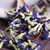50g Butterfly Pea Flower Tea 100%organic For Make Exquisite Pastrie / Drinks And Food Coloring