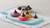 Hershey's Kisses Milk Chocolate Candy, Individually Wrapped, 5.3 Oz, Bag