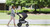 Graco Modes 3 Essentials Lx Travel System, Mullaly