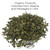 Organic Way Dandelion Leaf (taraxacum Officinale) Cut & Sifted - Herbal Tea | European Wild-harvest | Organic & Kosher Certified | Non Gmo & Usda Certified | Origin - Albania (1/2 Lbs / 8 Oz)