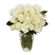 150 X Long Stems Of Pleasure Roses- Fresh Flower Delivery