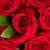 Deluxe Be Mine Rose Bouquet - 40 Cm - Fresh Cut Flowers - 1 Pack - Red Roses - By Bloomingmore