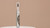 Physicians Formula Brow Last Longwearing Brow Gel, Blonde