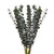 Baby Blue Eucalyptus - Fresh Cut Flowers - 100 Stems - Eucalyptus - By Bloomingmore