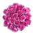 Painted Shirley Confetti Roses 50 Cm - Fresh Cut - 50 Stems