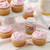 Wilton Traditional Rainbow Nonpareils Sprinkle Mix, 1.9 Oz.