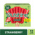 Outshine Non-gmo Strawberry Real Frozen Fruit Ice Bars Value Pack, 12 Ct