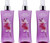 Pack Of 3 - Body Fantasies Signature Fragrance Body Spray, Japanese Cherry Blossom, 8 Fluid Ounce