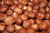 Gourmet Roasted Salted Hazelnuts Filberts By Its Delish, 4 Lbs