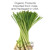 Organic Way Dried Lemongrass (cymbopogon Citratus) Fine Cut & Sifted - Herbal Tea | Organic & Kosher Certified | Raw, Vegan, Non Gmo & Gluten Free | Usda Certified | Origin - India (1/2lbs / 8oz)