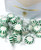 Arcor Spearmint Green Starlights White Center Wrapped Hard Sucking Mint Candy Bulk 2 Pounds