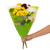 Fresh-cut Assorted Mums Flower Bunch, 6 Stems Minimum, Colors Vary