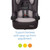 Cosco Mightyfit Lx Convertible Car Seat, Vista