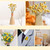 30pcs Natural Dried Flowers Billy Balls Flowers Billy Buttons Floral Bouquet For Flower Arrangements Wedding Home Tall Vase Decor Yellow