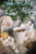 Stash Christmas Tea Sampler – Seasonal Assortment Pack - 40 Ct, 5 Flavors