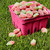 Sour Patch Kids Strawberry Soft & Chewy Candy, Share Size, 12 Oz