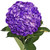 Hydrangeas 15 Stems Of Airbrushed Dark Purple Farm Direct Fresh Cut Flowers By Bloomingmore