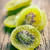 Dried Kiwi Slices By Its Delish, 2 Lbs Bulk Delicious Candied Kiwi Fruit