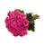 Hot Pink Roses 40 Cm - Fresh Cut - 125 Stems