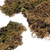 Light Green Sheet Moss - 5 Lbs - Fresh Cut Flowers - Moss - By Bloomingmore
