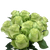 100 Stems Of Green Roses- Fresh Flower Delivery