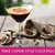 Jordan's Skinny Syrups S'mores, Sugar Free Coffee Flavoring Syrup, 25.4 Ounce Bottle