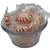 Starlight Mints Peppermint Bulk Wrapped Candy 2 Lbs.