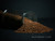 Davidoff Cafe Espresso 57 Instant Coffee 3.5oz/100g