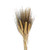 Wheat Filler - Fresh Cut - 300 Stems - Blond Natural Or Yellow