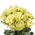 50 Stems Of Jade Roses- Fresh Flower Delivery