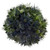 Blue Lagoon Eryngium - Fresh Cut - 90 Stems