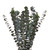 Diy Design Collection - Sweet Party - 80 Stems