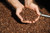 Stone Street Coffee Ethiopian Yirgacheffe Fresh Roasted Coffee, Whole Bean, 16 Oz