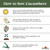 Burpee Organics Tendergreen Burpless Cucumber Seeds - Non-gmo, Slicing Cucumber, Organic Vegetable Gardening Seeds, 800mg, 1-pack