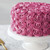 Wilton Rose Gel Food Coloring, 1 Oz.