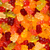 Albanese World's Best 8 Flavor Ultimate Gummi Bears, Family Size 25 Oz Resealable Bag