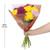 Fresh-cut Jumbo Mums Flower Bunch, Colors Vary
